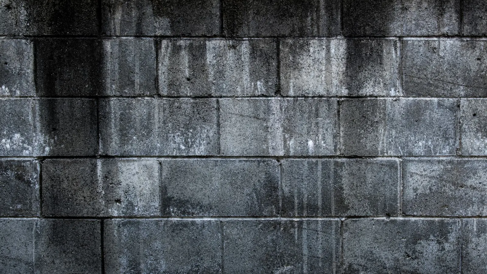 Dark concrete block wall with water stains running down the blocks
